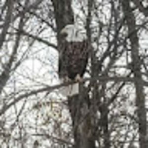 Meet your Posher, Charline